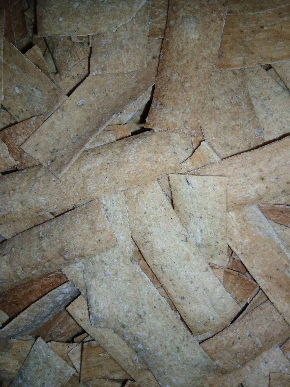 Fibra Light Cebola e Salsa